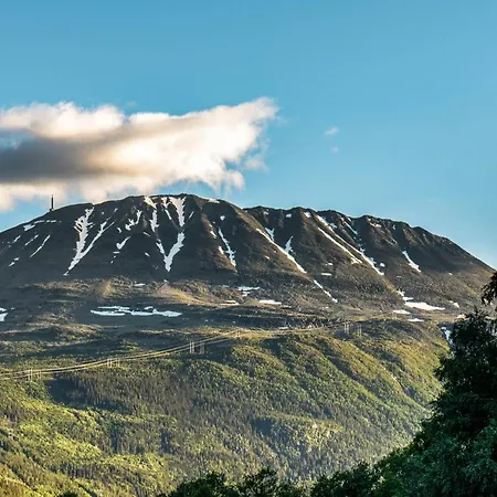Fjellresort Gaustablikk