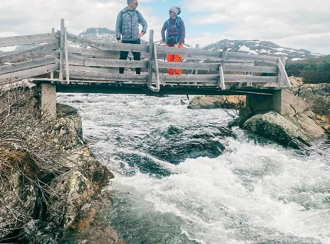 Fjellresort Hotell 4*