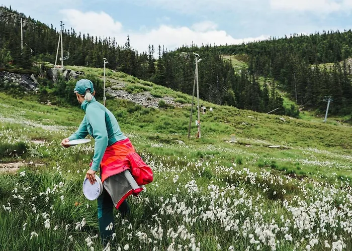 Fjellresort 4* Gaustablikk